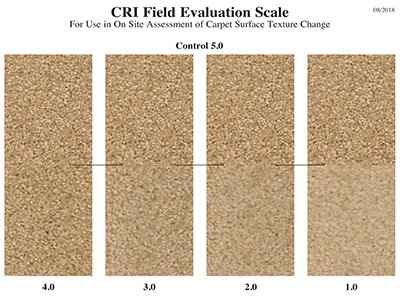 CRI - Field Evaluation Scale
