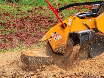 Stump Grinding and Removal: Clear Your Yard for New Landscaping image