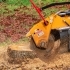 Stump Grinding and Removal: Clear Your Yard for New Landscaping small image