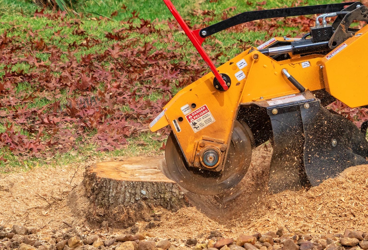 Stump Grinding and Removal: Clear Your Yard for New Landscaping hero image